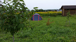 20170825_155652.jpg