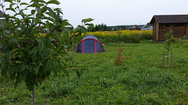20170825_155657.jpg
