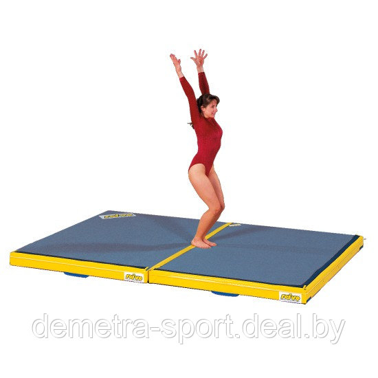 Мат гимнастический Reivo для приземления (300x200x12) см - фото 3 - id-p92297141