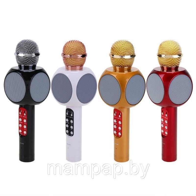Микрофон Wster WS-1816 ОРИГИНАЛ для караоке