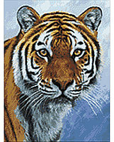 Набор Алмазной мозаики "Спокойствие Тигра"