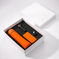 Набор подарочный Colorissimo: повербанк, термос, фонарик, оранжевый