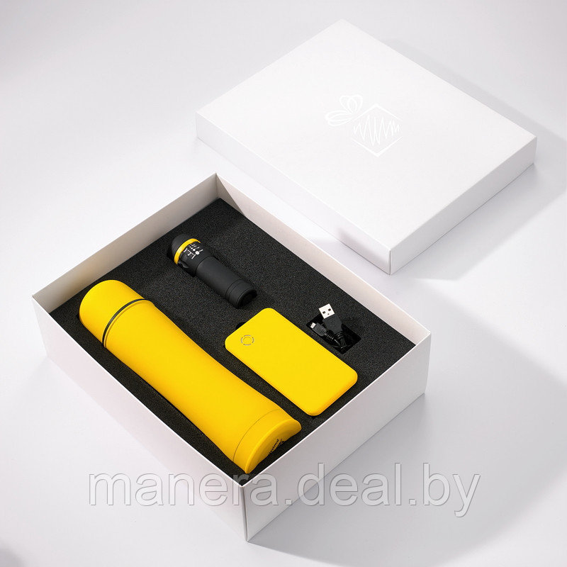 Набор подарочный Colorissimo: повербанк, термос, фонарик, оранжевый - фото 4 - id-p92580761