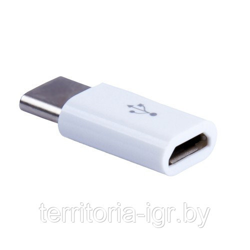 Адаптер Type-C - micro USB BMC-601 белый Blast - фото 1 - id-p92584696
