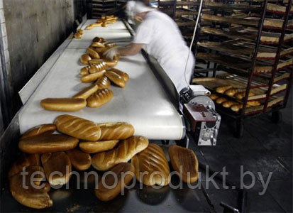 Лента транспортёрная для хлеба - фото 1 - id-p4518516