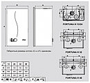 Ferroli Fortuna HF40 Газовый котел, фото 4