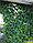 Сетка пластиковая 15*15 2х20 антикрот (сетка пвх садовая), фото 2