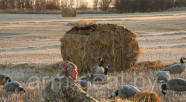 Засидка (укрытие) Твин Гусь (РУЛОН) - фото 2 - id-p2595041