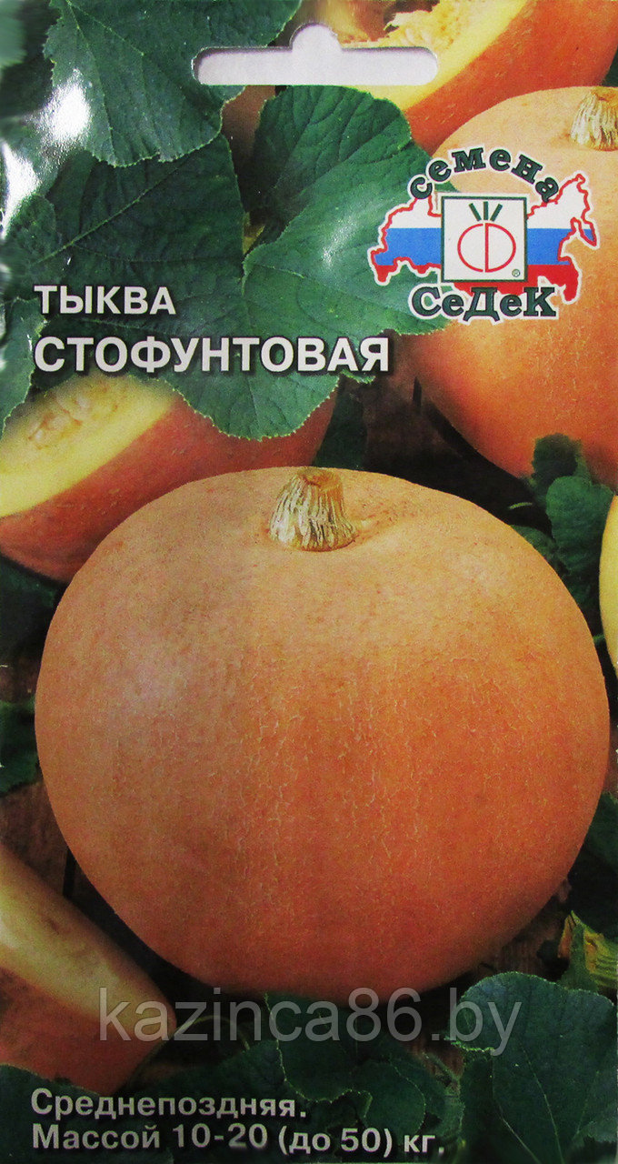 Тыква Стофунтовая