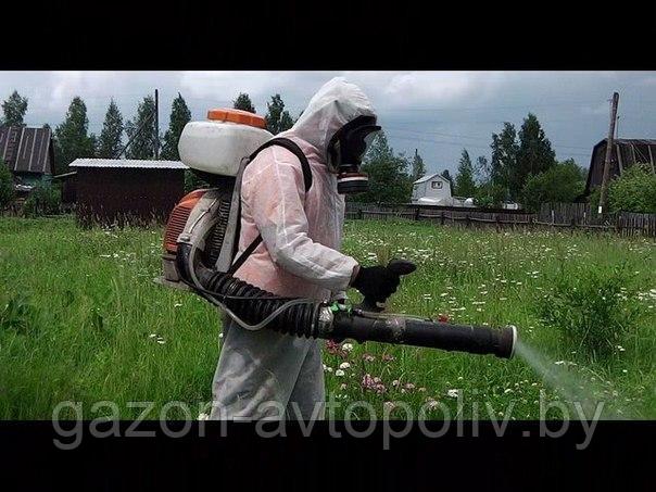 Обслуживание участков. Уход за растениями и газоном. Скарификация газона.