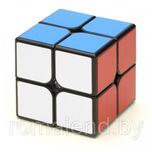 Головоломка Кубик Рубика 2х2x2 MoYu GuanPo - фото 2 - id-p92821468