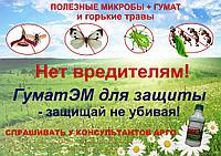 Наступает время бросить семя в землю!!!