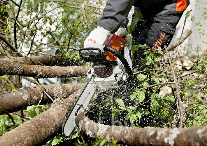 Бензопила-Stihl MS 261 - фото 3 - id-p4545484