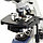 Фазово-контрастный микроскоп для клинических анализов в ветеринарии, фото 3