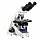 Фазово-контрастный микроскоп для клинических анализов в ветеринарии, фото 8