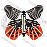 Летающая бабочка (Magic Flyer) - сюрприз, фото 2
