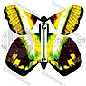 Летающая бабочка (Magic Flyer) - сюрприз, фото 6