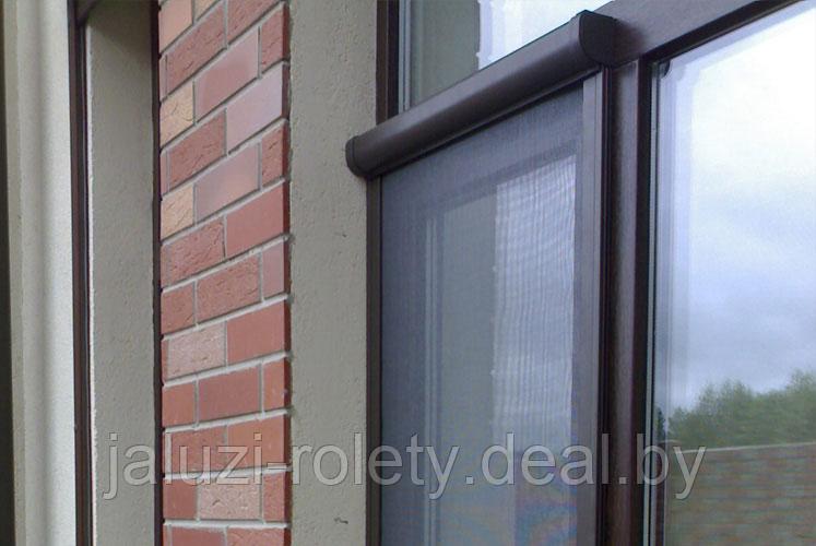 Роллетная москитная сетка на окно коричневая - фото 2 - id-p4248121