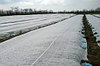 АгроСпанбонд 17 г/м2, 1.6 х 10м. (белый), фото 2