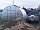 Теплица из поликарбоната ГАРАНТ-Фермер 5 (ширина 5 м, двойная дуга), фото 3