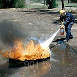 Огнетушитель порошковый ОП-9, фото 4