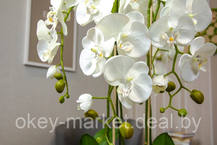 Цветочная композиция из орхидей в горшке 130 см - фото 3 - id-p93387269