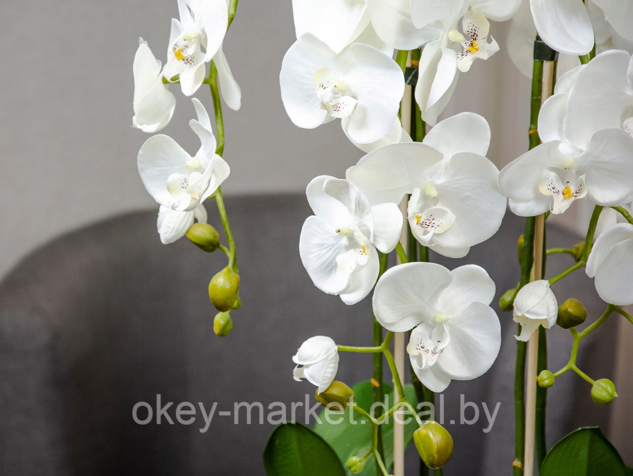 Цветочная композиция из орхидей в горшке 130 см - фото 4 - id-p93387269