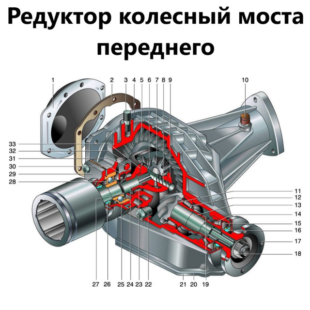 Редуктор заднего моста в разрезе