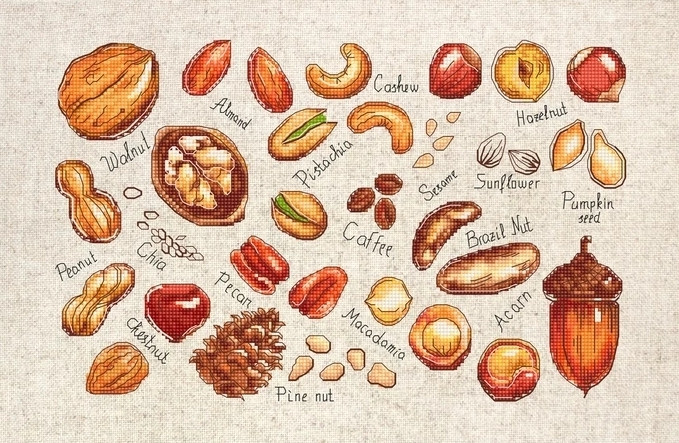 Набор для вышивания крестом «Орехи и семена» - фото 1 - id-p93666302