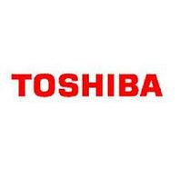Завесы Toshiba