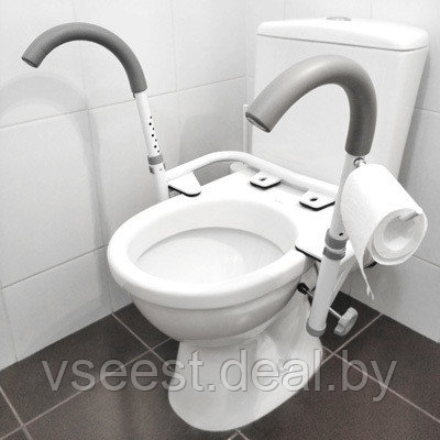 Поручни для туалета SC 708 Под заказ 7-8 дней - фото 1 - id-p93698103