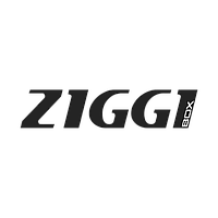 Диски тормозные передние Ziggi Honda CR-V