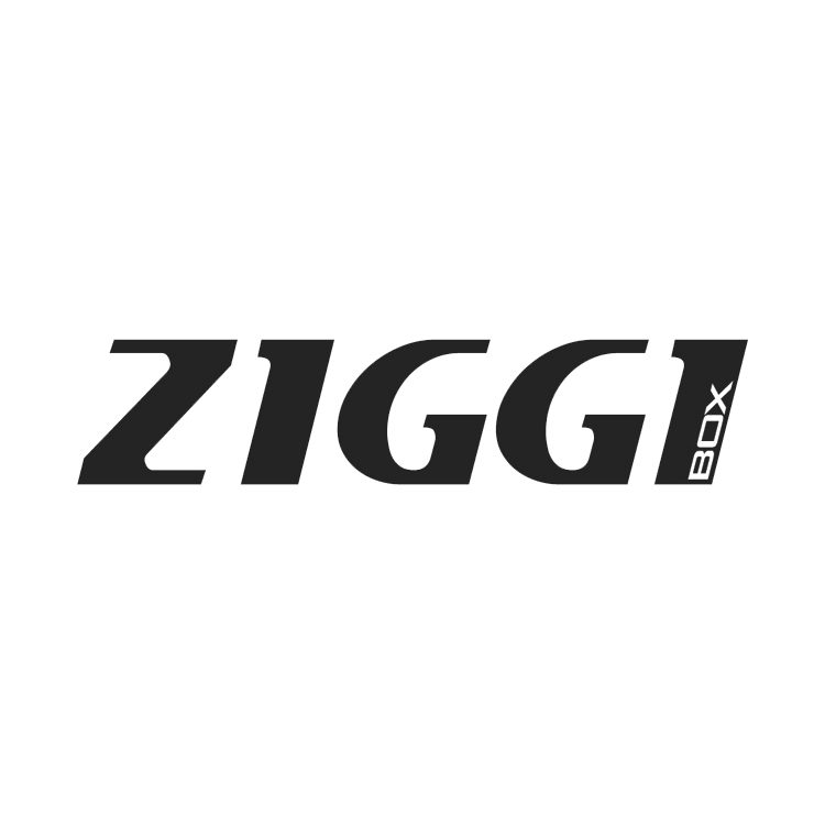 Диски тормозные передние Ziggi Honda CR-V/HR-V/INTEGRA/PRELUDE/SHUTTLE