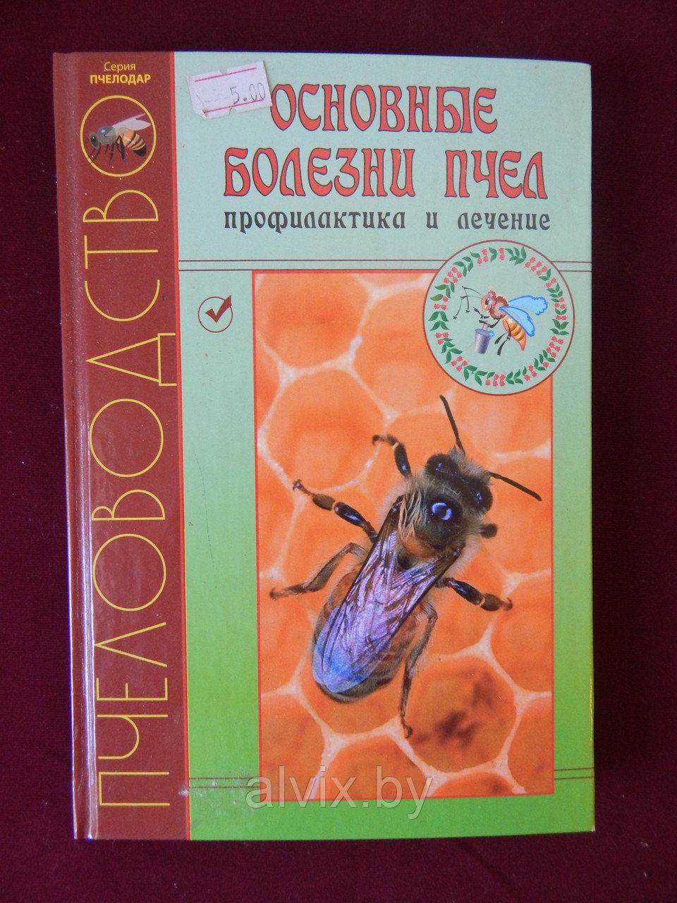 Основные болезни пчел. Профилактика и лечение