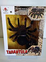 Паук на радиоуправлении Tarantula Тарантул 781