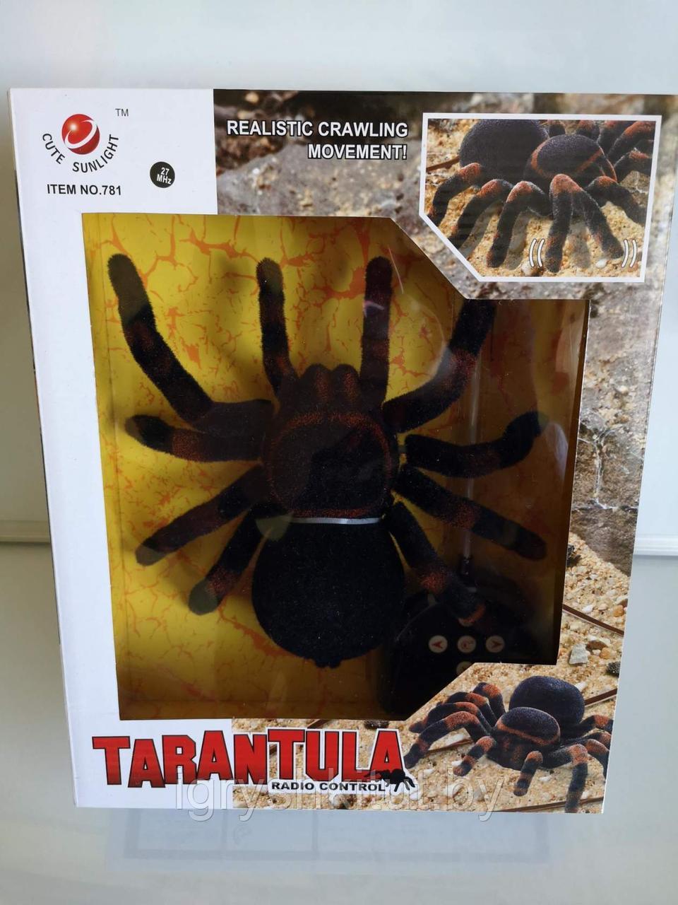 Паук на радиоуправлении Tarantula Тарантул 781 - фото 1 - id-p88129122