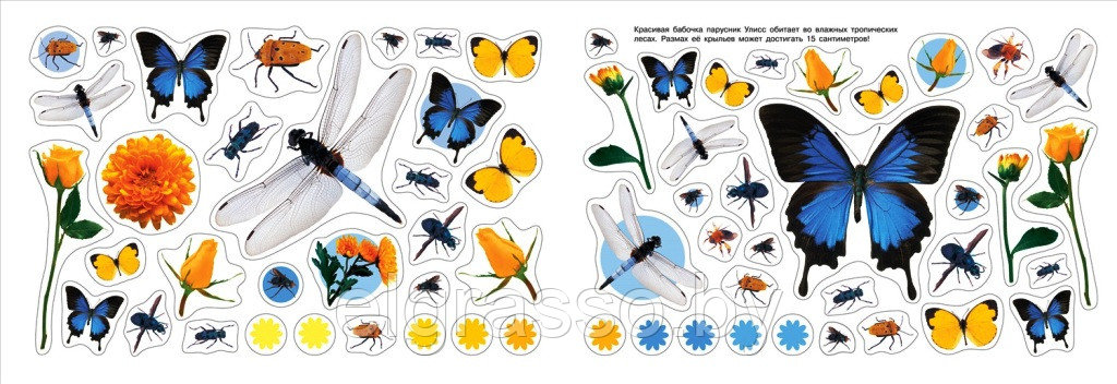 Альбом А4 с наклейками "400 наклеек" Жучки и бабочки, Росмэн - фото 5 - id-p94037408