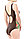 Купальник ортопедический для женщин после мастэктомии артикул 2383 коричнево-зелёный, фото 2