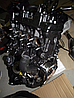 ДВИГАТЕЛЬ ДВС HONDA HORNET CBR CB600F PC41 2013, фото 2