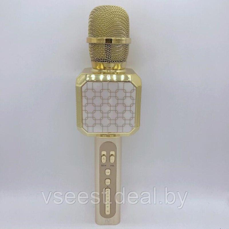 Портативный микрофон и ДВЕ колонки 2 в одном YS05 (Bluetooth) Gold - фото 5 - id-p94175815