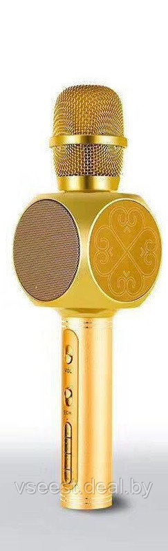 ORIG Портативный микрофон и колонка 2 в одном YS63 (Bluetooth) Gold - фото 1 - id-p94175819