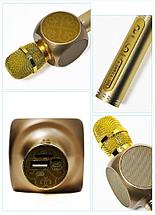ORIG Портативный микрофон и колонка 2 в одном YS63 (Bluetooth) Gold, фото 2