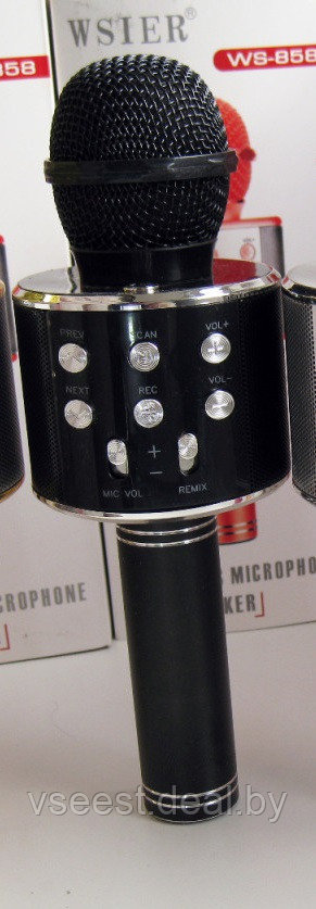 Фэйк Портативная микрофон и колонка 2 в одном WSTER WS858 (Bluetooth) Чёрная - фото 1 - id-p94175822