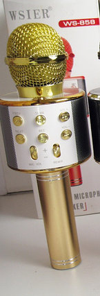 Фэйк Портативная микрофон и колонка 2 в одном WSTER WS858 (Bluetooth) Gold, фото 2