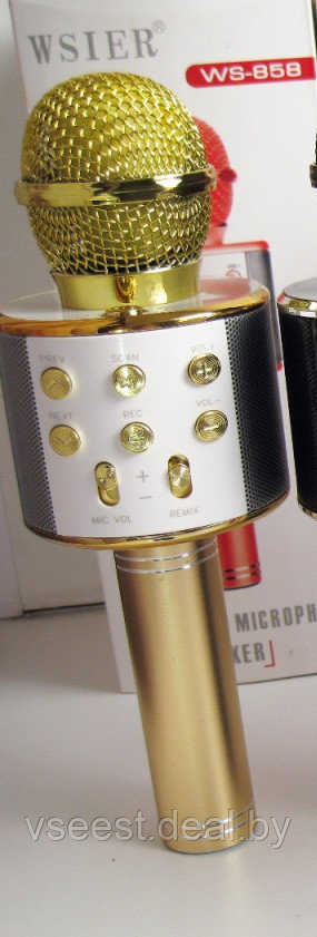 Фэйк Портативная микрофон и колонка 2 в одном WSTER WS858 (Bluetooth) Gold - фото 1 - id-p94175823