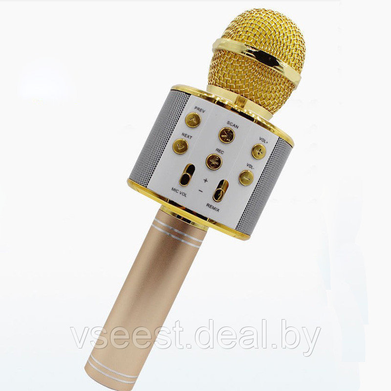 Фэйк Портативная микрофон и колонка 2 в одном WSTER WS858 (Bluetooth) Gold - фото 2 - id-p94175823