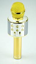 Фэйк Портативная микрофон и колонка 2 в одном WSTER WS858 (Bluetooth) Gold, фото 3