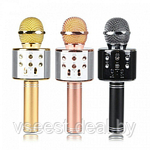 Фэйк Портативная микрофон и колонка 2 в одном WSTER WS858 (Bluetooth) Gold, фото 3