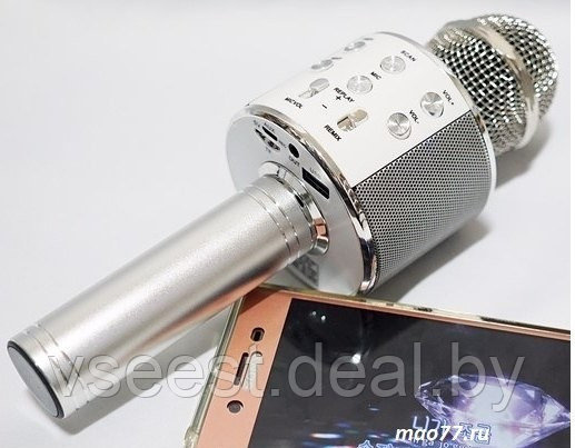 Фэйк Портативная микрофон и колонка 2 в одном WSTER WS858 (Bluetooth) Silver - фото 2 - id-p94175824