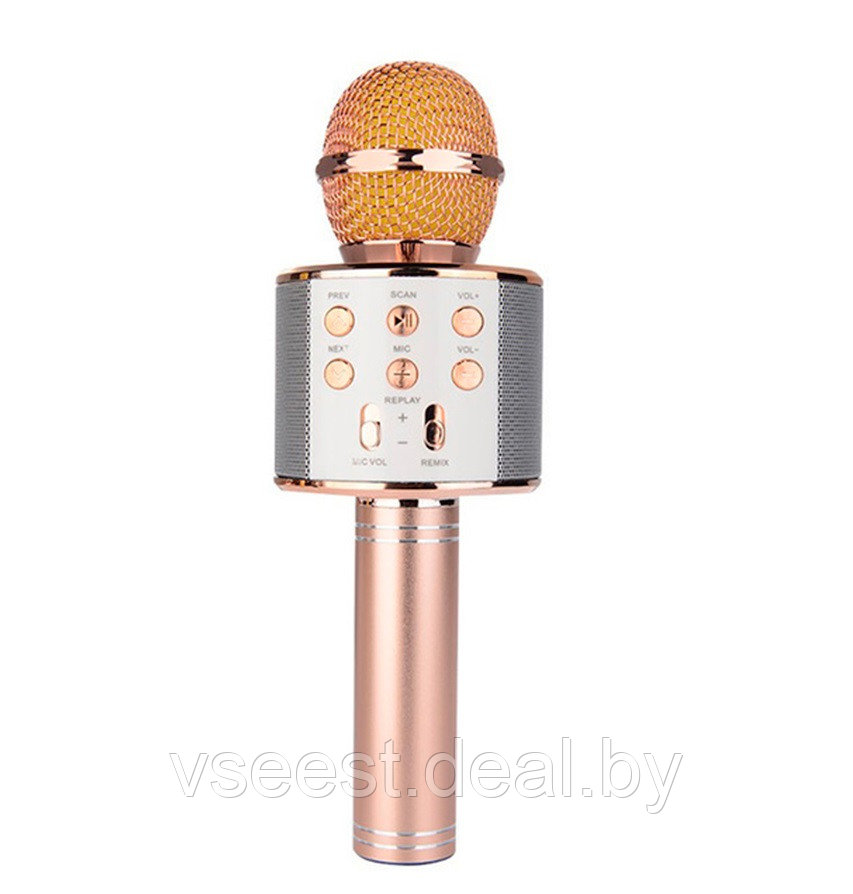 Фэйк Портативная микрофон и колонка 2 в одном WSTER WS858 (Bluetooth) Rose Gold - фото 2 - id-p94175825